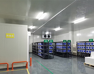 血制品公司建造80立方-25~-30℃血浆冷库的方案报价？