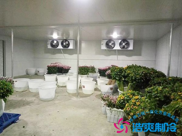 苗木冷库建设