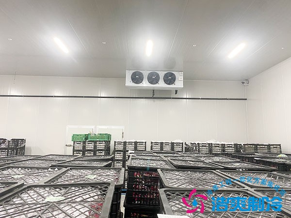 红薯保鲜冷库造价