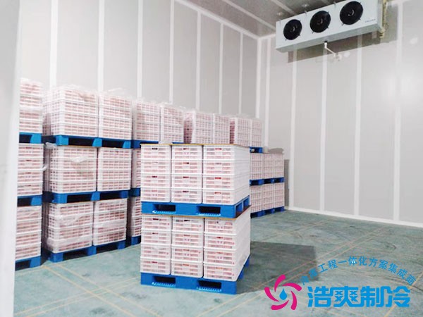 保鲜库造价表