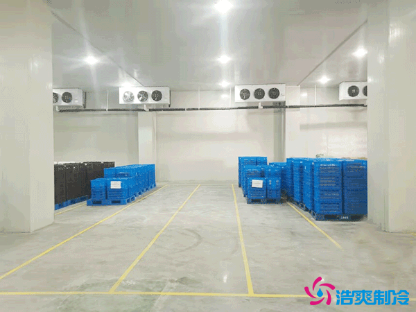 建造万吨级大型冷库造价大概多少钱？万吨冷库造价影响因素