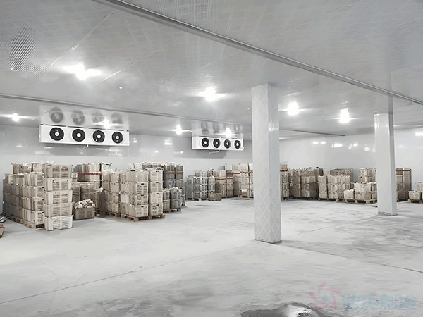 上海茶叶冷库安装