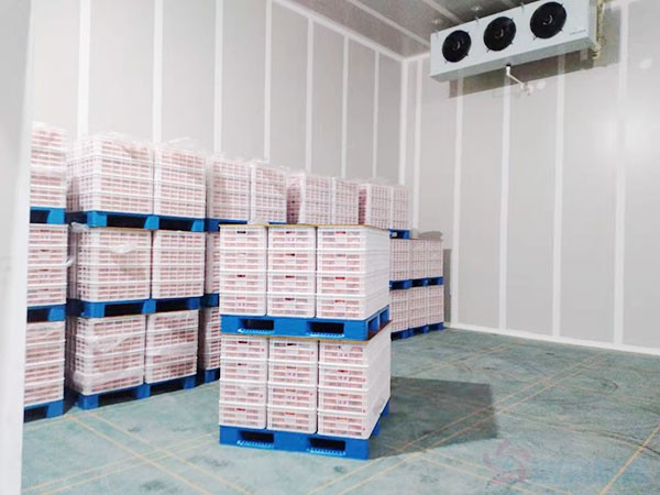 湖南果蔬气调保鲜冷库设计