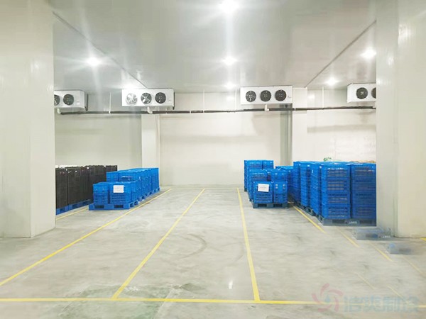 湖南保鲜食品冷库建造