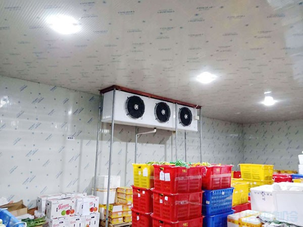 福建生鲜果蔬冷库造价表