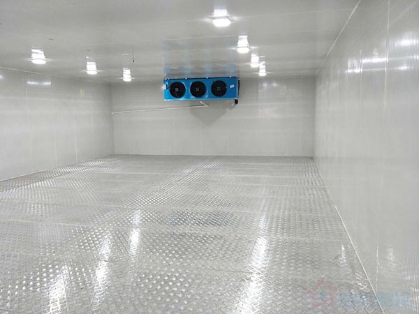 铜陵疾控自动化冷库温度标准