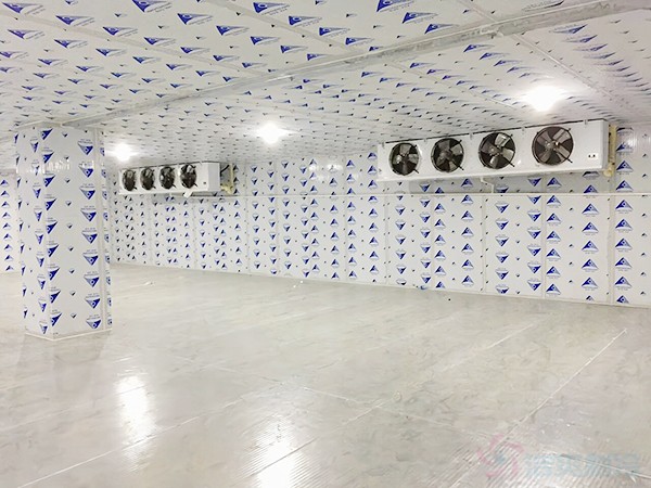 铜陵疾控自动化冷库温度标准