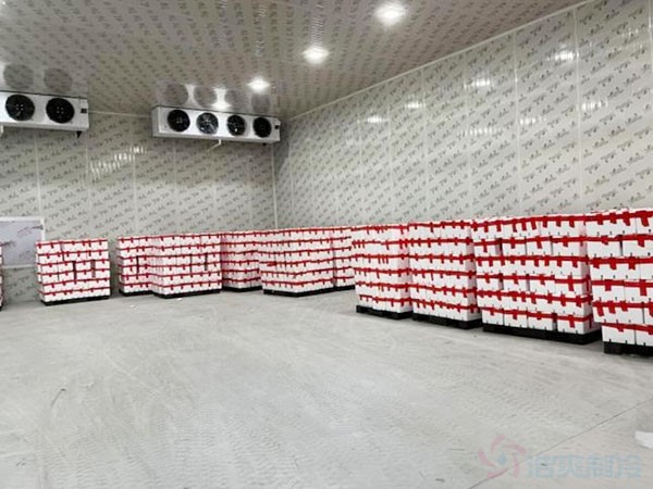 水果冷库自动化