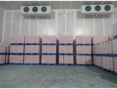 湖州练美农业果蔬产地型气调冷库建造工程案例