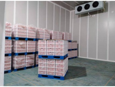 湖州练美农业果蔬产地型气调冷库建造工程案例