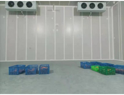 湖州练美农业果蔬产地型气调冷库建造工程案例