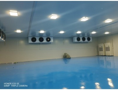 艾美科健物管部2-8℃酶载体树脂材料专用冷库工程案例