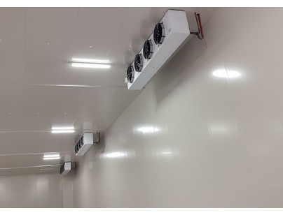 安徽翔威供应链14500m³保税区冷链物流冷库工程建造案例