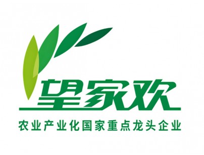 深圳望家欢智慧产业园一期大型食品冷库建造工程案例