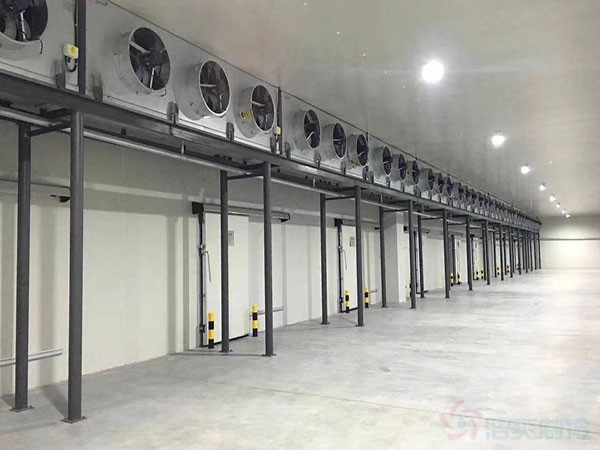 速冻冷库建造