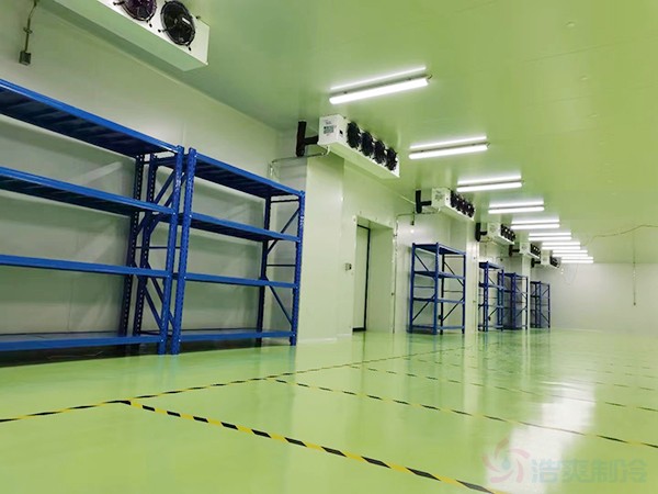 医药冷链仓库建设案例分享